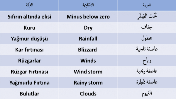 اللغة العربية